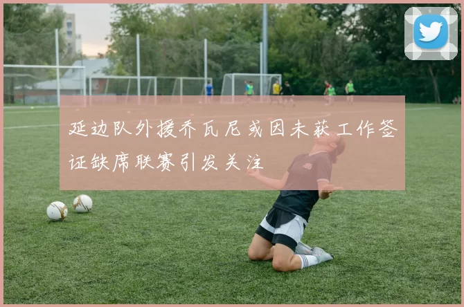 延边队外援乔瓦尼或因未获工作签证缺席联赛引发关注