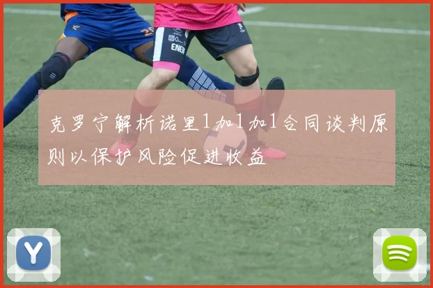 克罗宁解析诺里1加1加1合同谈判原则以保护风险促进收益